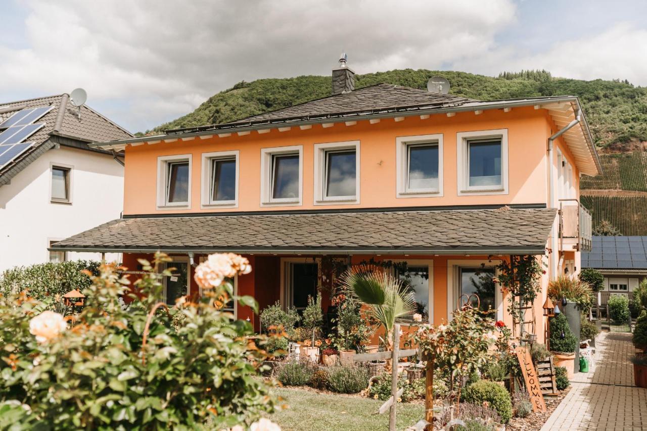 Wein- Und Gaestehaus Schwaab&Sohn Erden Exterior photo
